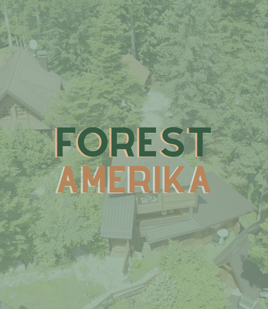 Client logo Forest Amerika